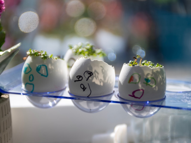 Grow some cress to make it look like hair