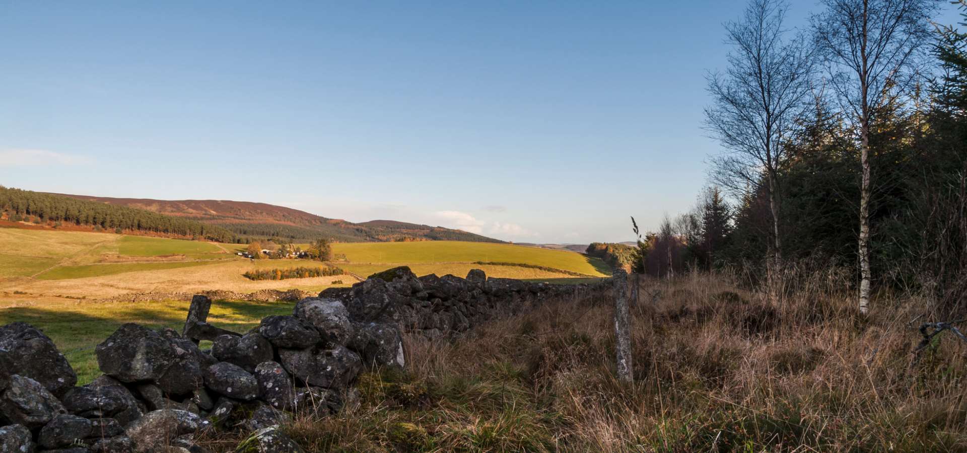 Aberdeenshire landscape