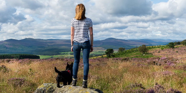 A person enjoying the Aberdeenshire scenery while walking in the countryside