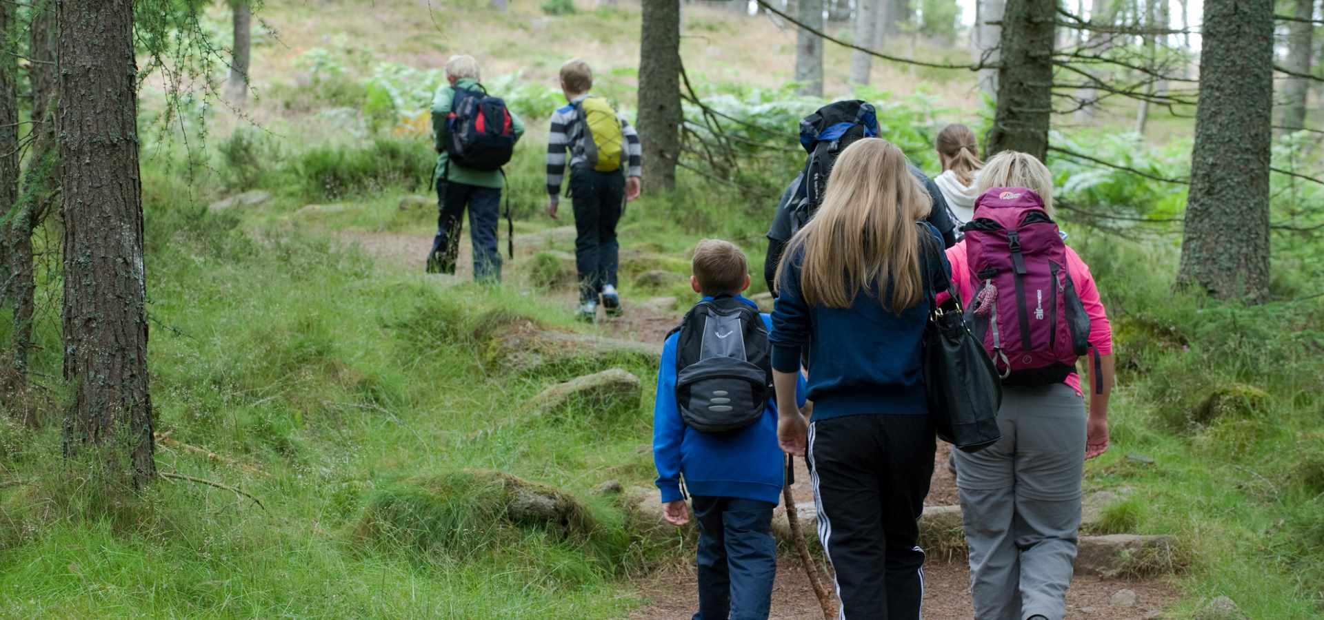 A group of people having a walk through a forest 