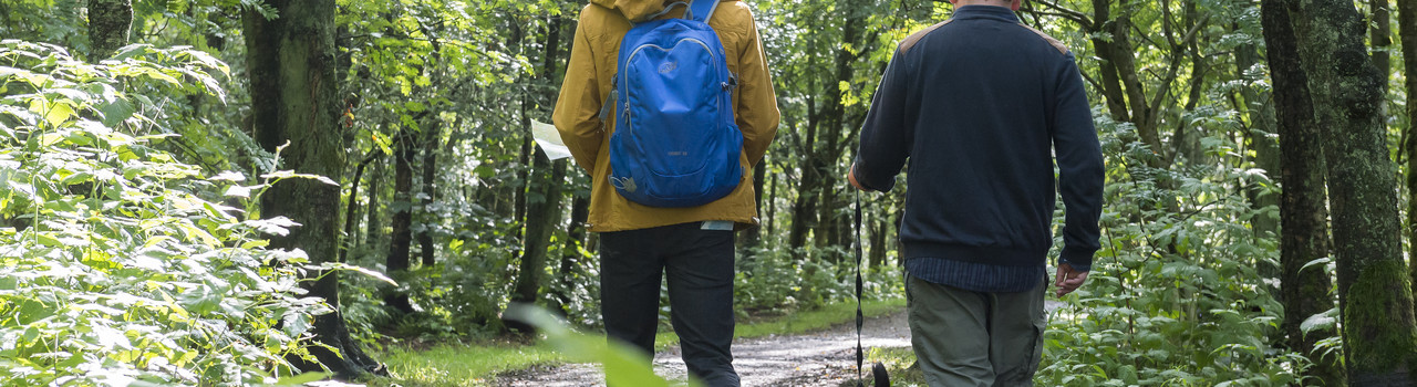 two adults with walking poles walking through a woodland