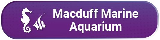 A seahorse and fish graphic with Macduff Marine Aquarium wording